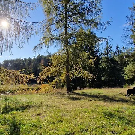 別荘 Lesna Przystan Bory Tucholskie