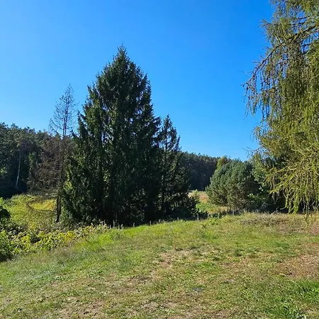 Сasa de vacaciones Lesna Przystan Bory Tucholskie