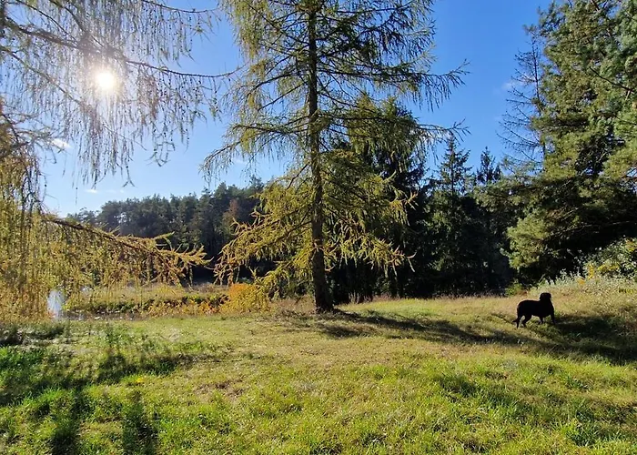 Dom wakacyjny Leśna Przystań Bory Tucholskie