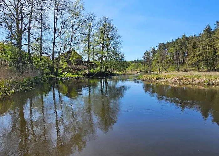 Dom wakacyjny Leśna Przystań Bory Tucholskie *