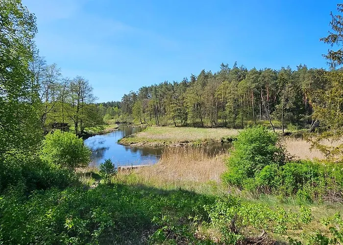 Leśna Przystań Bory Tucholskie Dom wakacyjny *