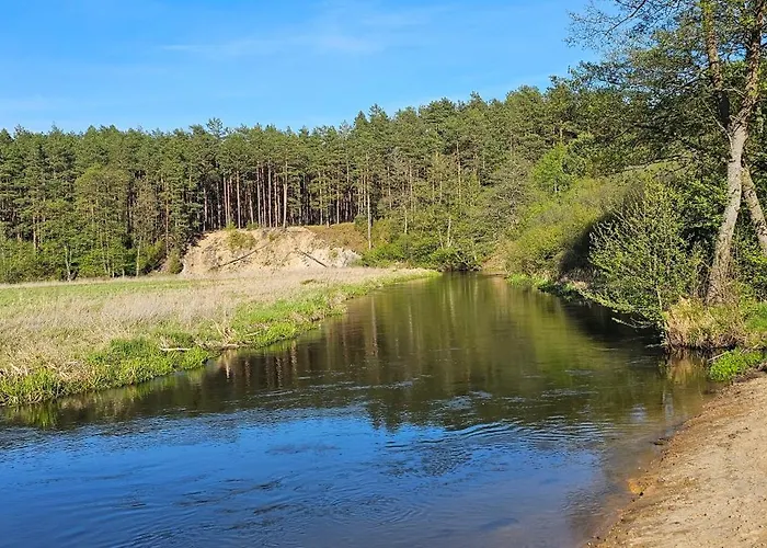 Leśna Przystań Bory Tucholskie Dom wakacyjny
