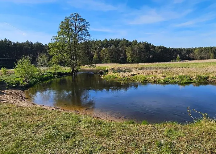 Dom wakacyjny Leśna Przystań Bory Tucholskie Luby