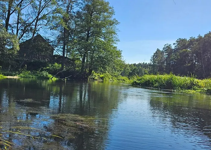 Leśna Przystań Bory Tucholskie